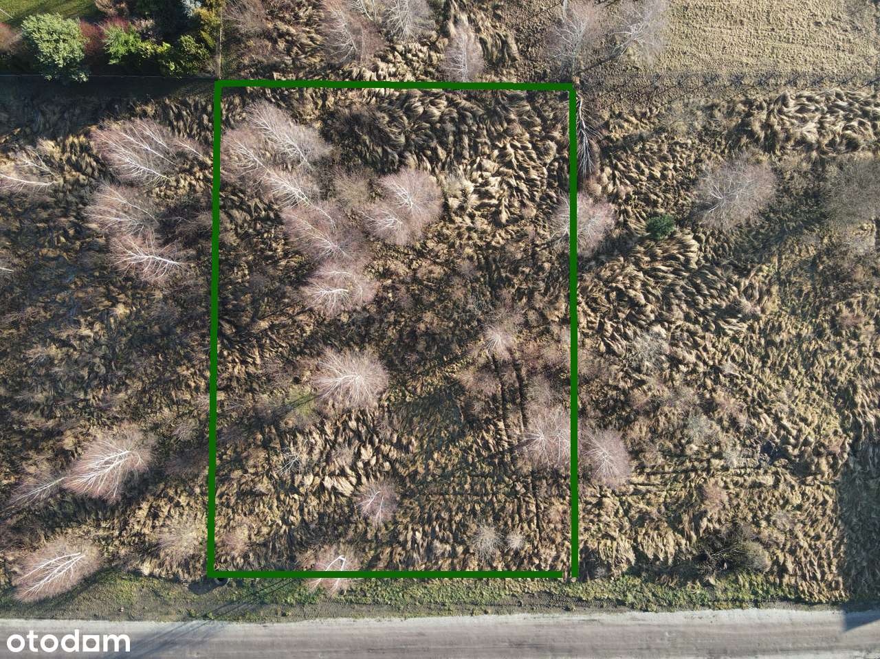 Działka budowlana w Lusowie pod Poznaniem-8