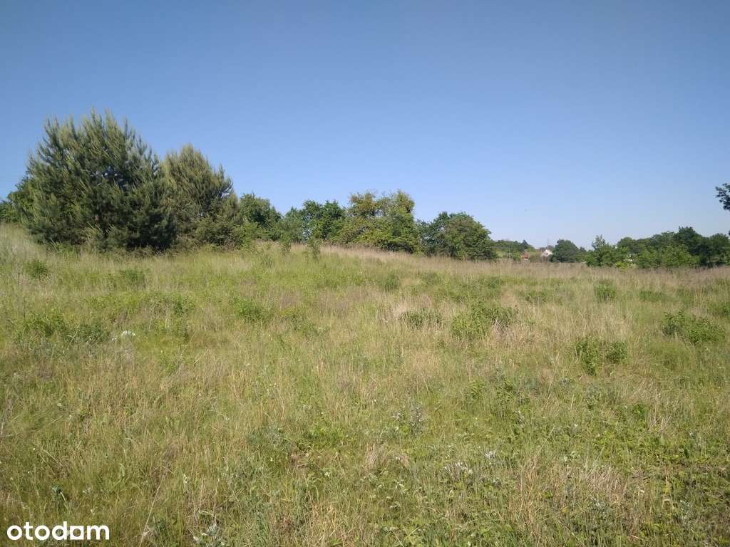 TANIA Dz. bud., Łęgowo, woj. Lubuskie, 36972zł-3