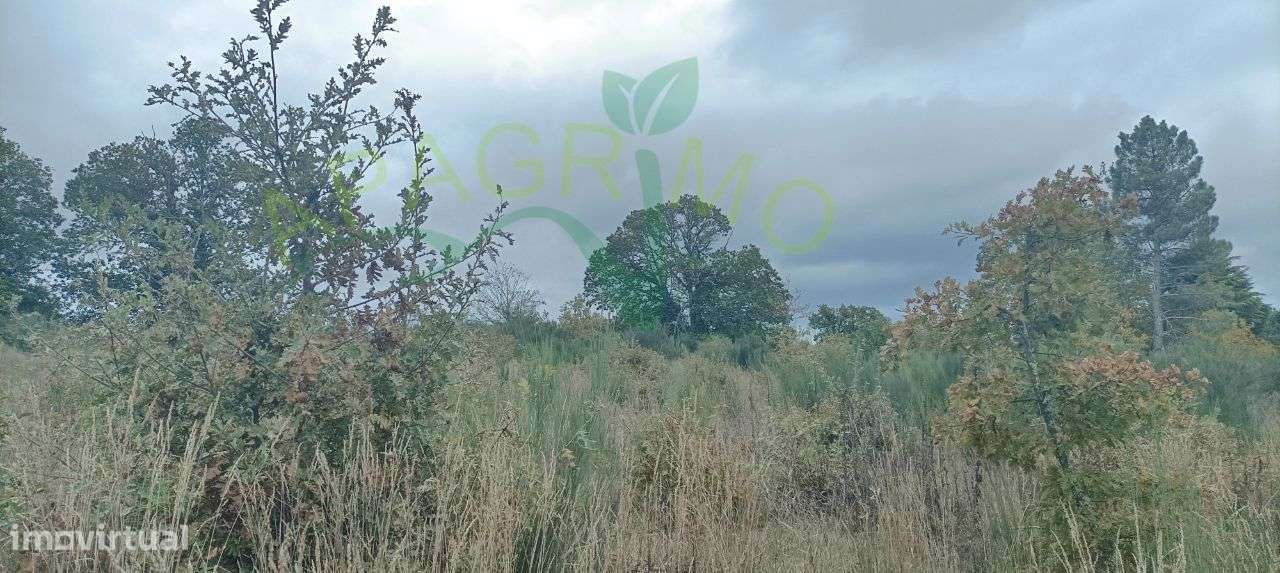 Terreno urbanizável em Penedono - Grande imagem: 5/12
