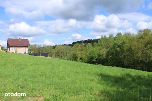 Raciborsko - działka budowlana w sąsiedztwie lasu.