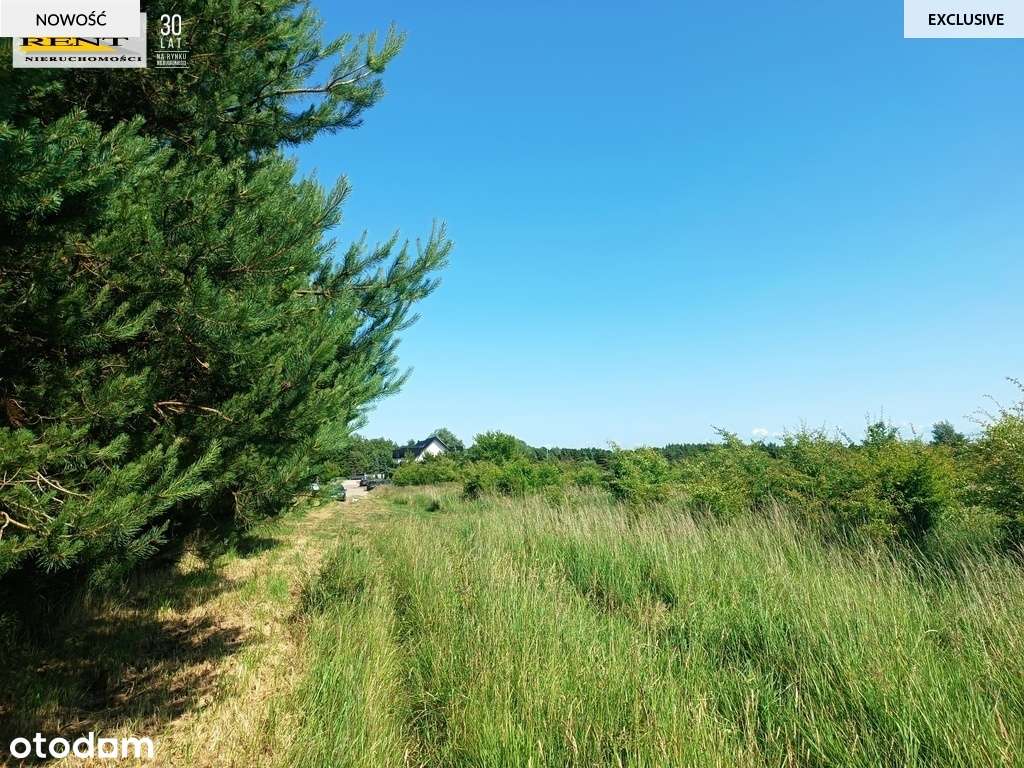 Działka w Niechorzu 700 m od plaży! - Pełny obrazek: 2/6