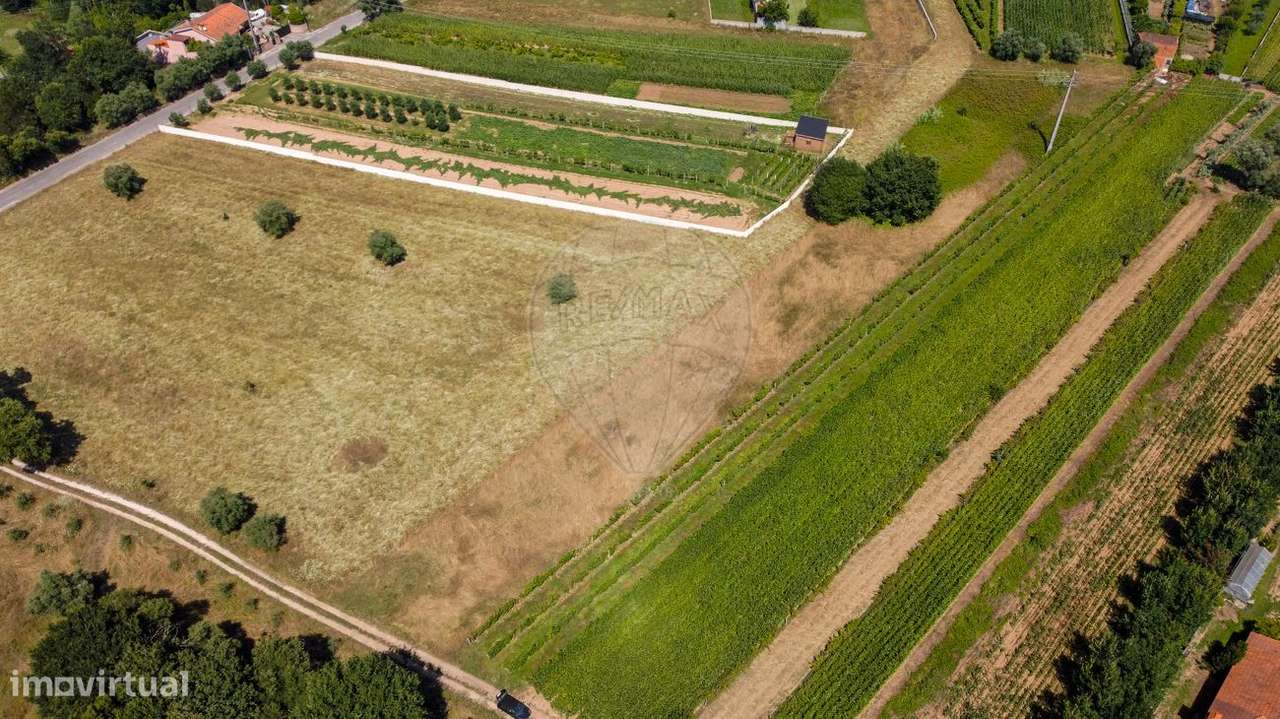 Terreno  para venda - Grande imagem: 4/11