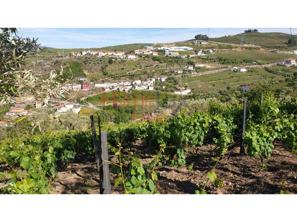 Quintinha para reconstrução - Grande imagem: 3/16