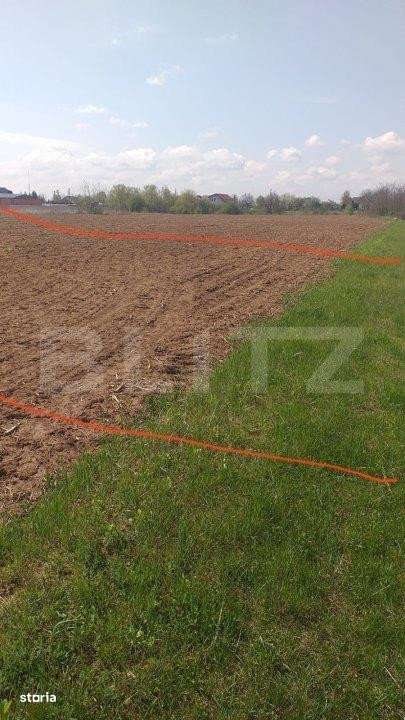 Teren intravilan 5400 mp, deschidere 22 ml, in Baicoi - Imagine principală: 3/4