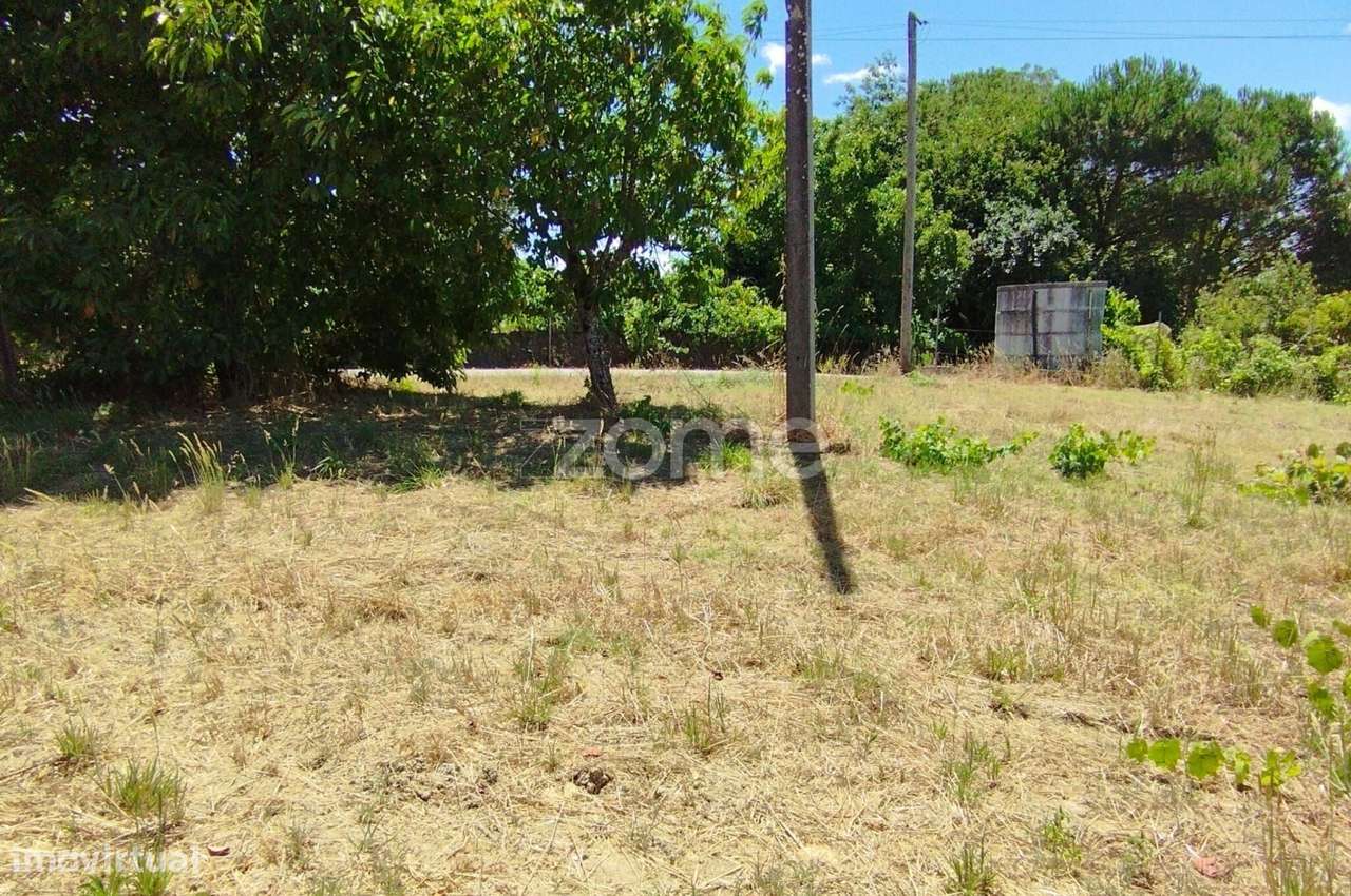 Terreno Almagreira-13