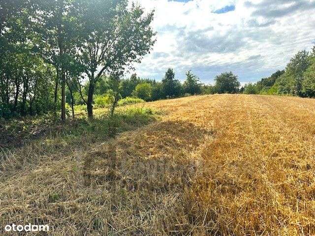 Działka budowlano-rolna niedaleko Kazimierza-2