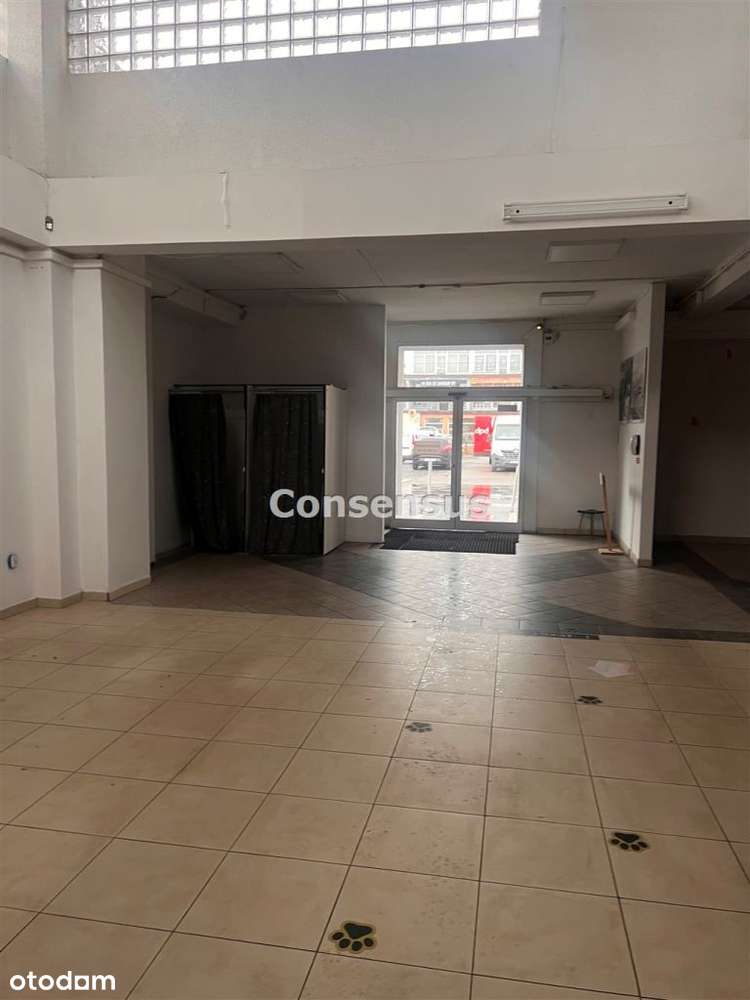 Galeria Handlowa Mazowiecka 8 - Pełny obrazek: 5/15