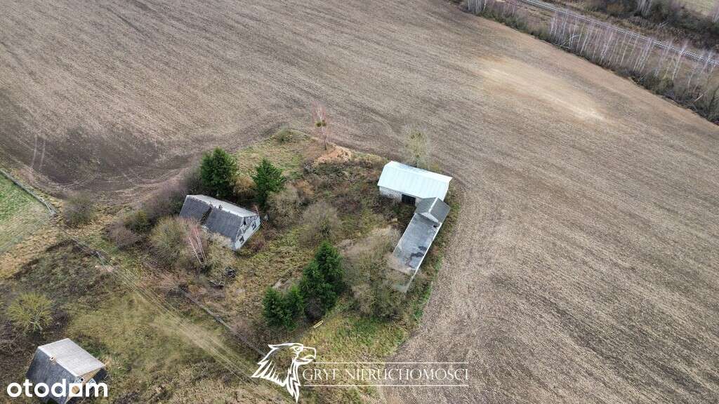 Wyjątkowe siedlisko 30 km od Białegostoku - Pełny obrazek: 5/13