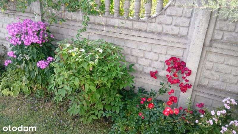 Super Dom Z Potencjałem Komercyjnym-3