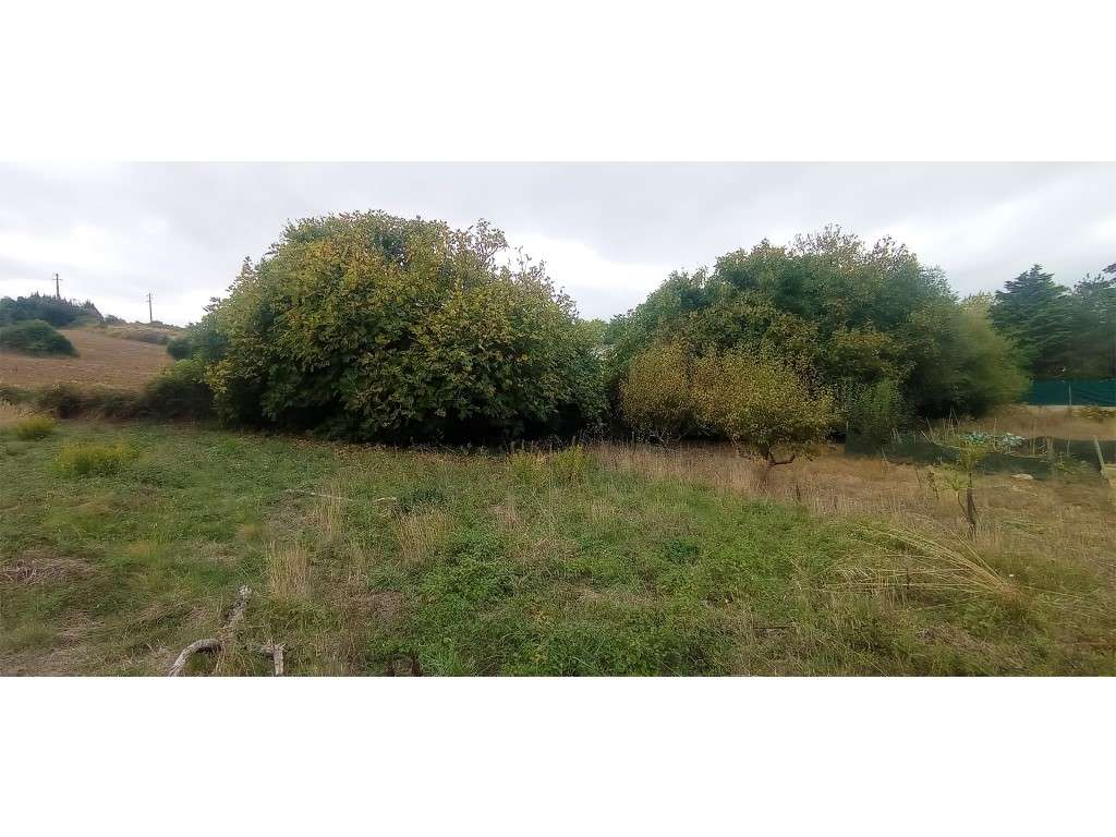 Adega / Armazém com projecto de arquitetura para conversão em morad...-21