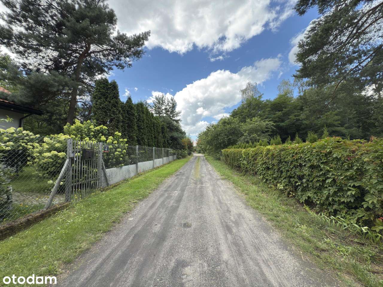 Działka budowlana otoczona lasem! - Pełny obrazek: 5/6