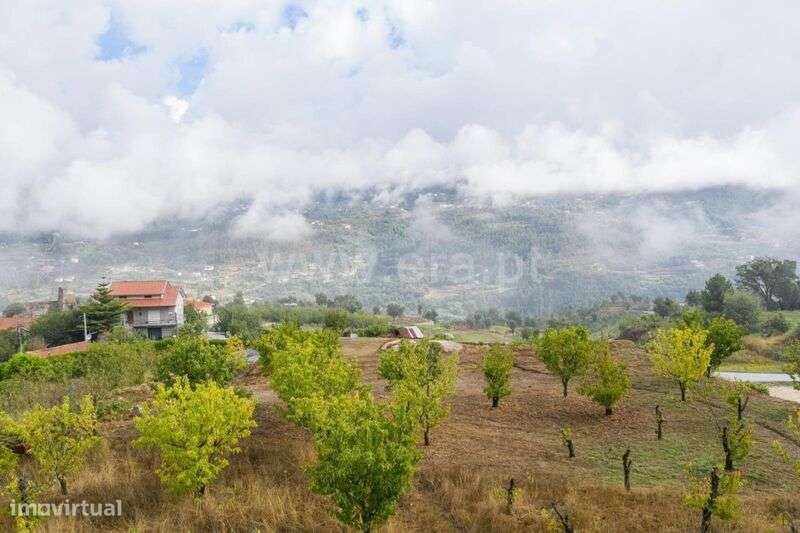Terreno para Construção / Cinfães, Santiago de Piães - Grande imagem: 4/5