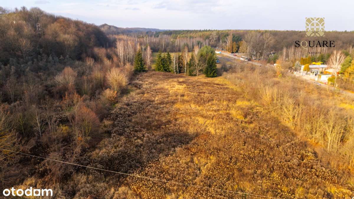 Słomczyn Konstancin- Jeziorna działka-8