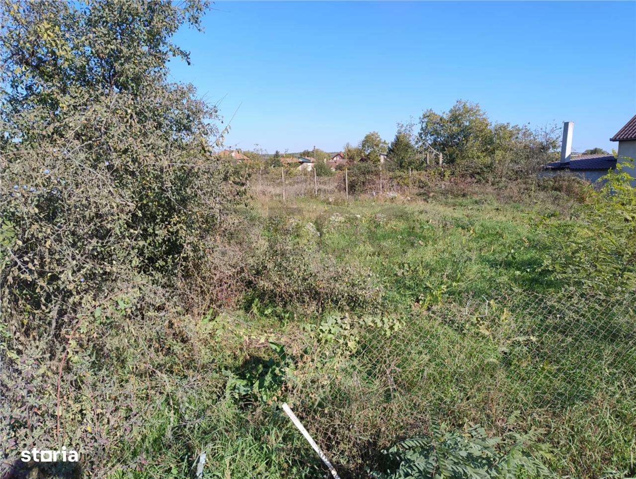 RECO Teren intravilan Episcopia - Imagine principală: 4/4