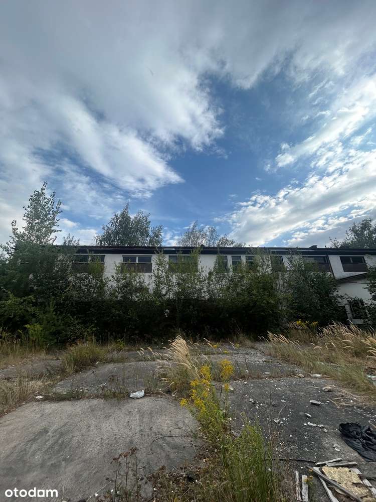 Zabudowana działka pod inwesycję deweloperską - Pełny obrazek: 4/13