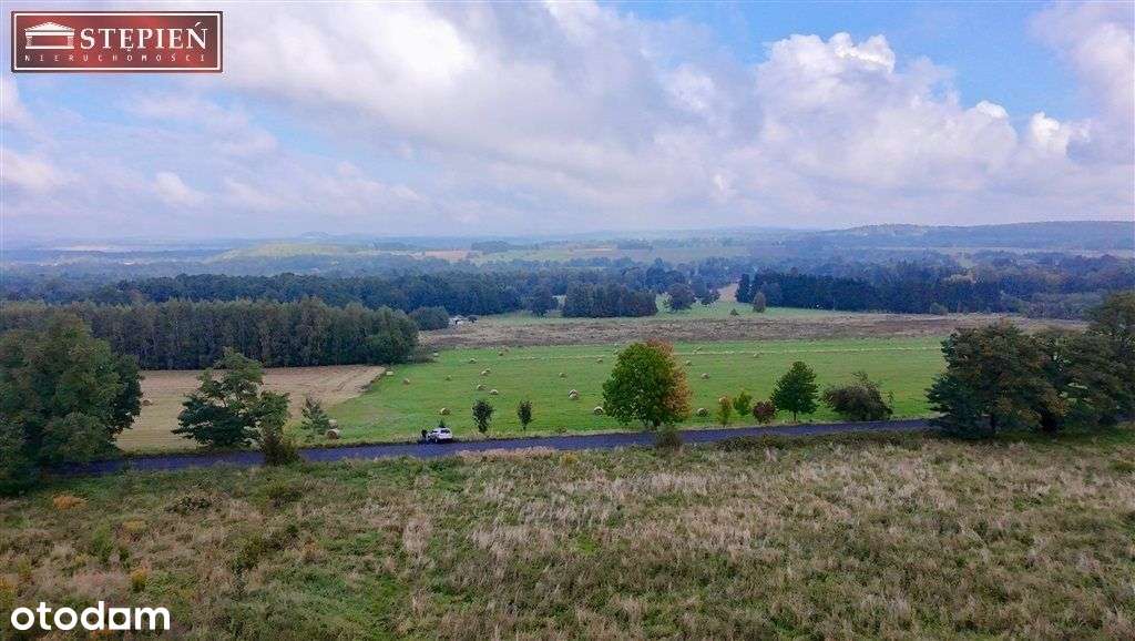 Działka, 8 200 m², Przecznica - Pełny obrazek: 5/11