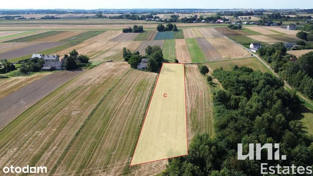 Duża działka  | Zagórowa | Cicha okolica - Pełny obrazek: 3/10