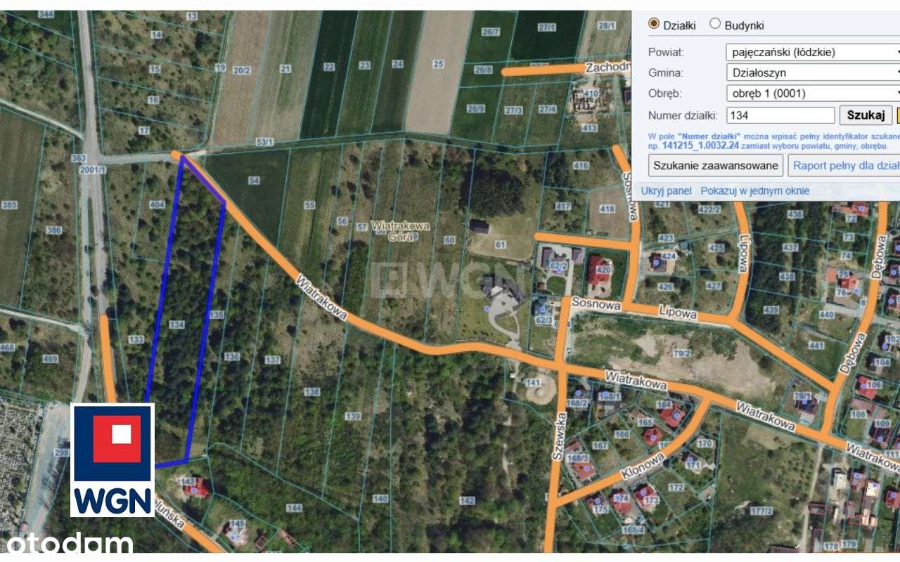 Działka, 9 800 m², Działoszyn-1