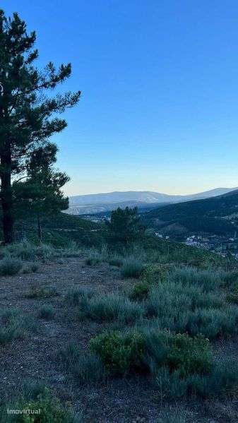 Oportunidade Única de Investimento: Refúgio de Luxo em Unhais da Serra - Grande imagem: 5/6