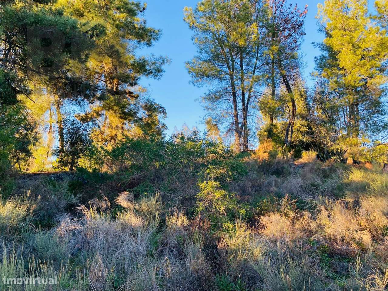 Terreno Para Construção  Venda em Póvoa de Rio de Moinhos e Cafede,Cas - Grande imagem: 5/12