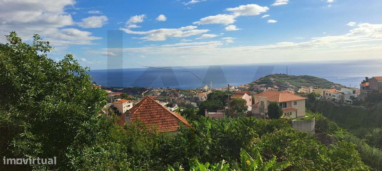Terreno 9825m2 em Câmara de Lobos