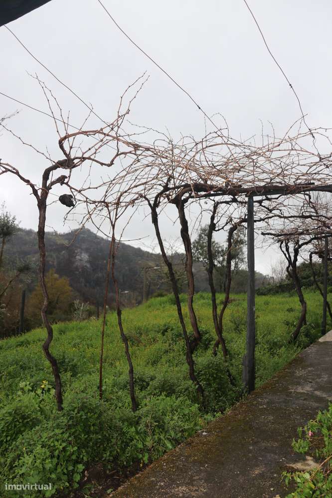 Moradia T2 | 2 andares - São Romão de Aregos - Grande imagem: 5/34