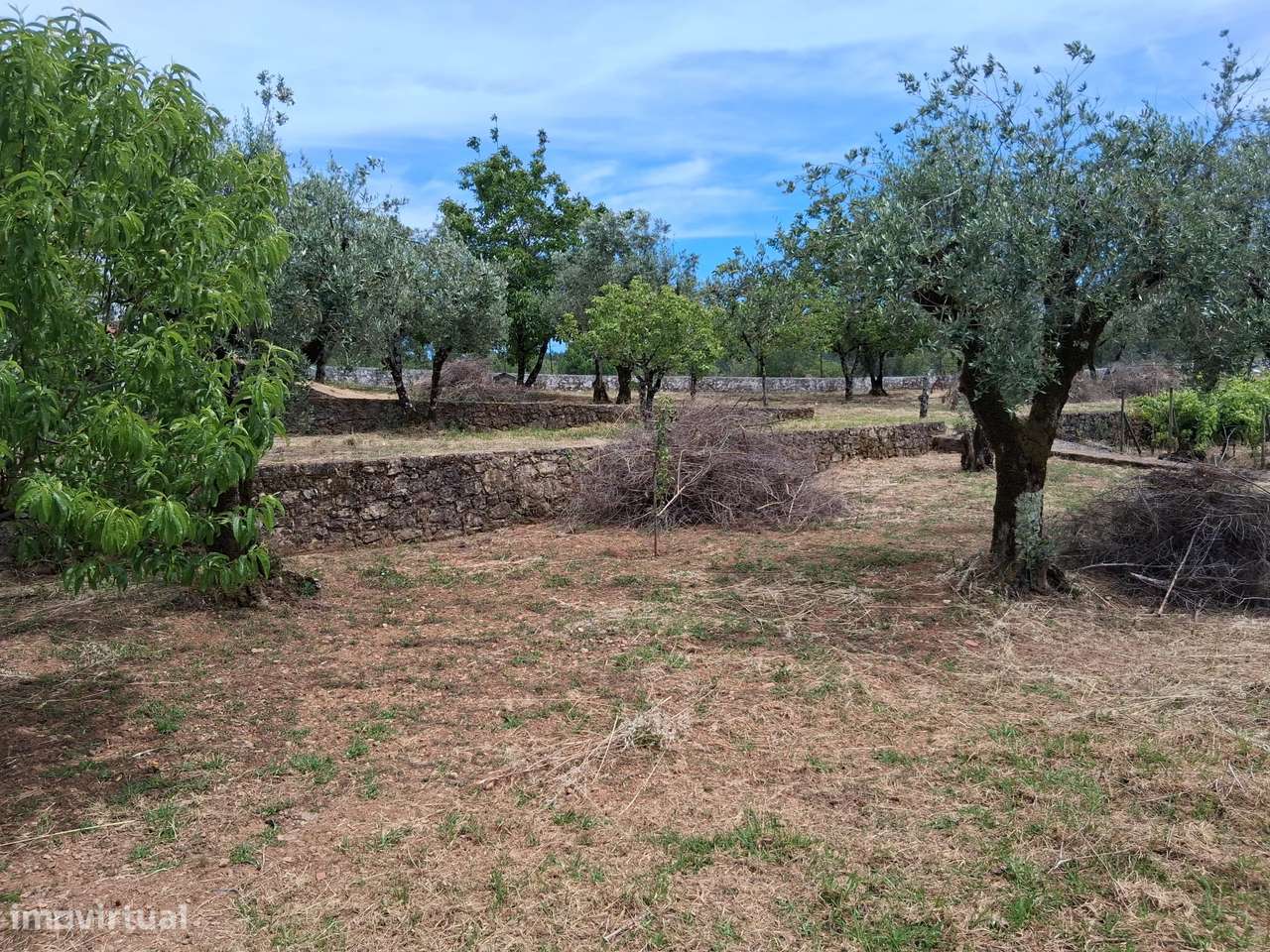 Quinta de Charme com Piscina, Vinha e 6.200 m² de Terreno | Coimbra-11
