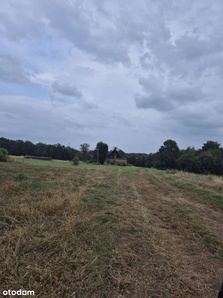 Działki w Wiśniczu Małym dla rolnika, na siedlisko - Pełny obrazek: 5/10