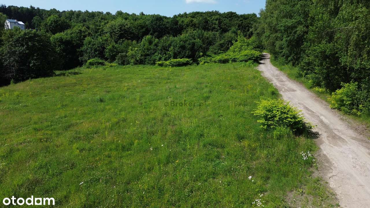 Działka pod Magazyn Produkcję Składowanie-3