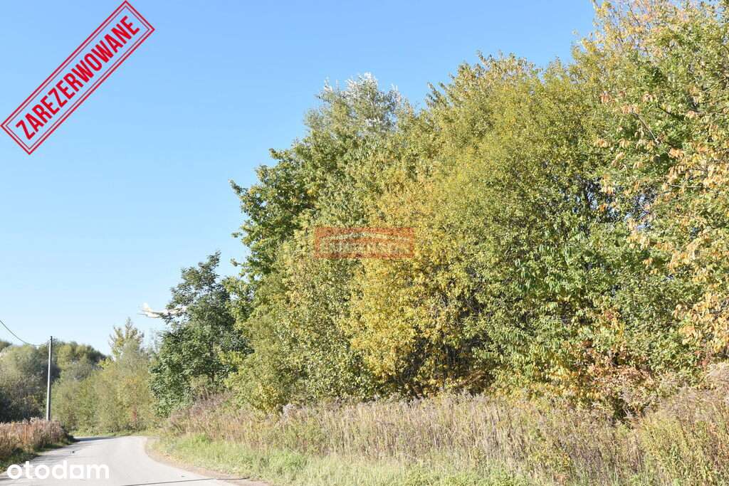 Działka komercyjna 2200 m2- Gm. Liszki (Morawica - Pełny obrazek: 5/6