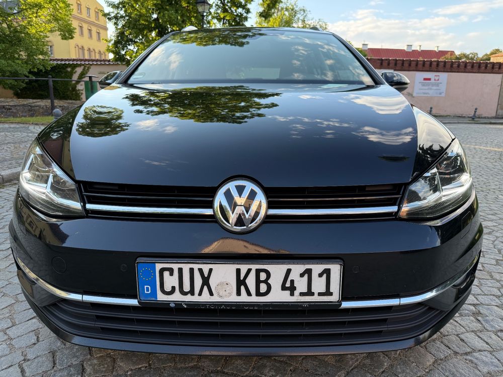 Volkswagen Golf VII 1.6 TDI SCR DSG IQ.DRIVE 2019