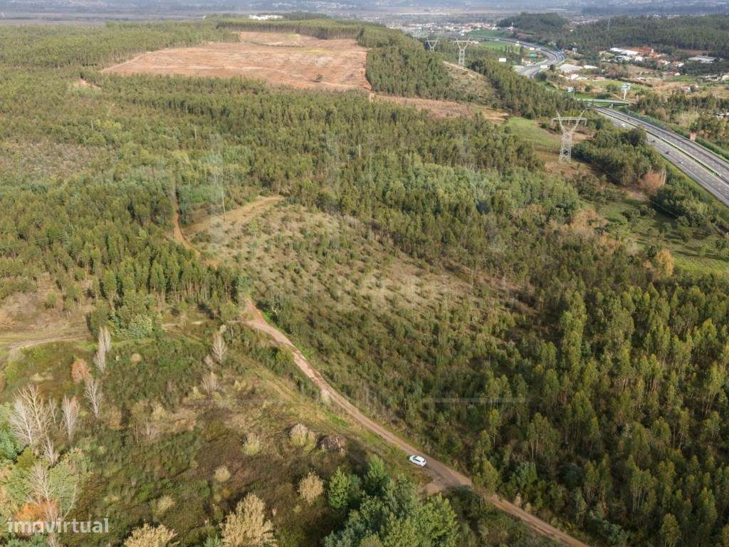 Terreno | Quinta do Acipreste, Antanhol - Grande imagem: 2/19