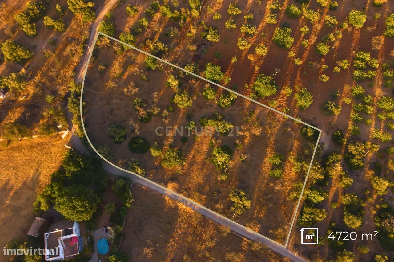 ✅ Terreno Rústico com 4.720 m² – Acessos Excelentes e Potencial Extrao-3