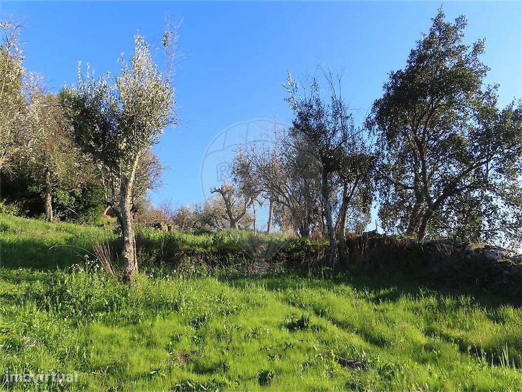 Moradia T3 para venda-19