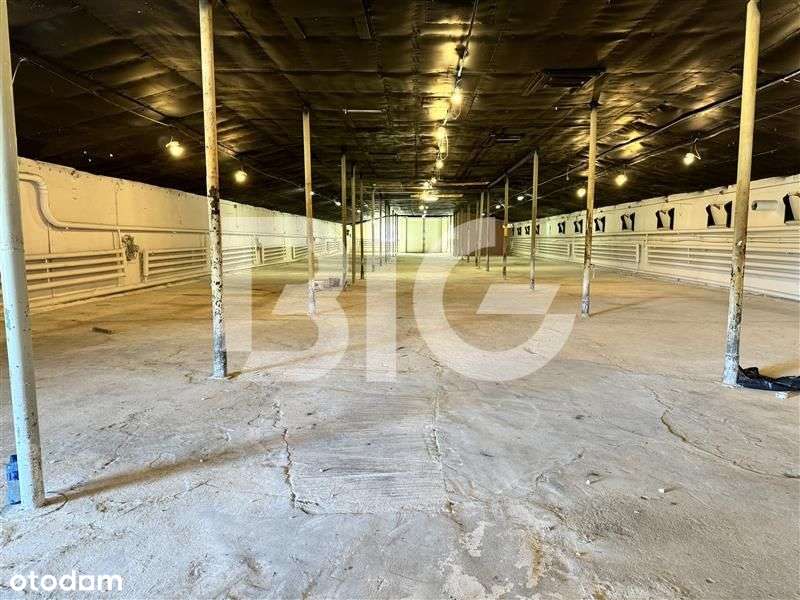 Magazyn, hala produkcyjna. - Pełny obrazek: 4/9