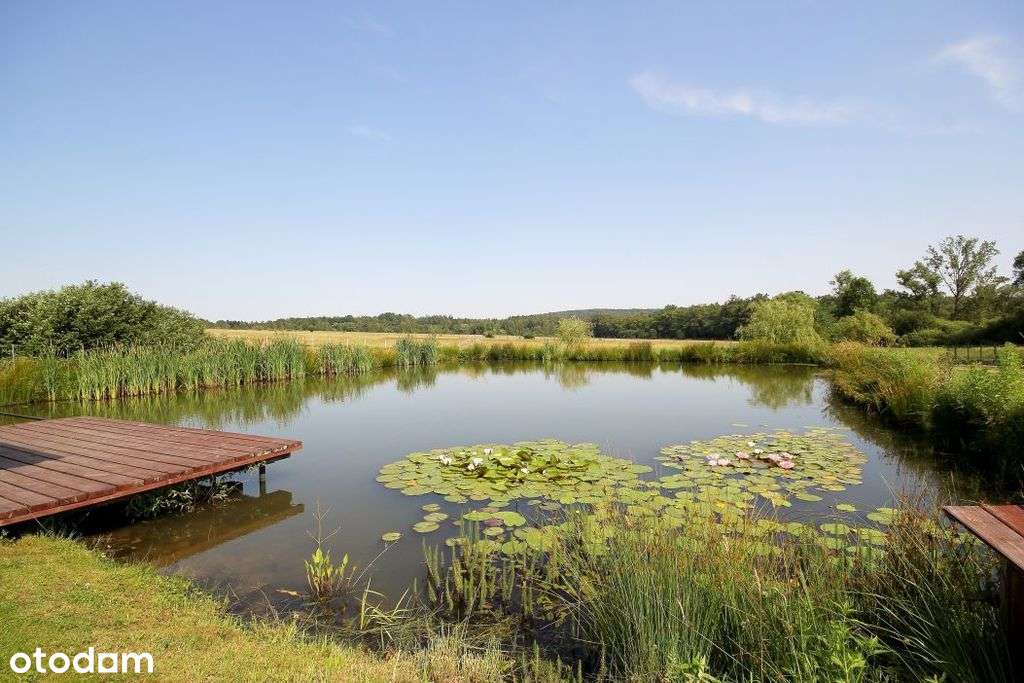Magiczna działka budowlana ze stawem - Pełny obrazek: 4/20