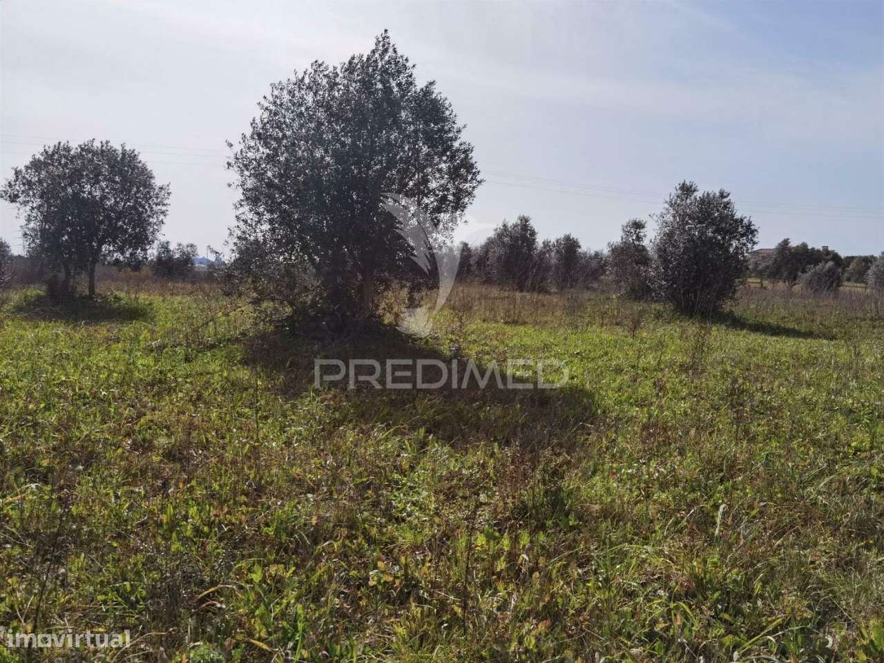 Terreno rústico vedado com 9,600.00m2 - Grande imagem: 4/21