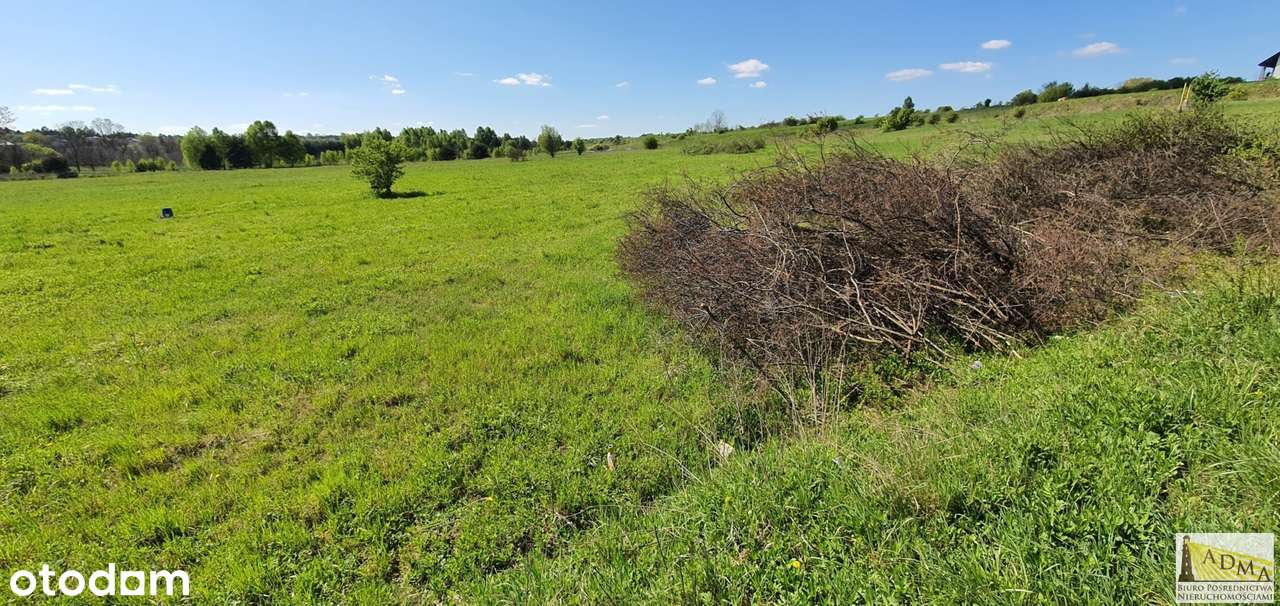 3 działki budowlane Toporowice gm. Mierzęcice-4