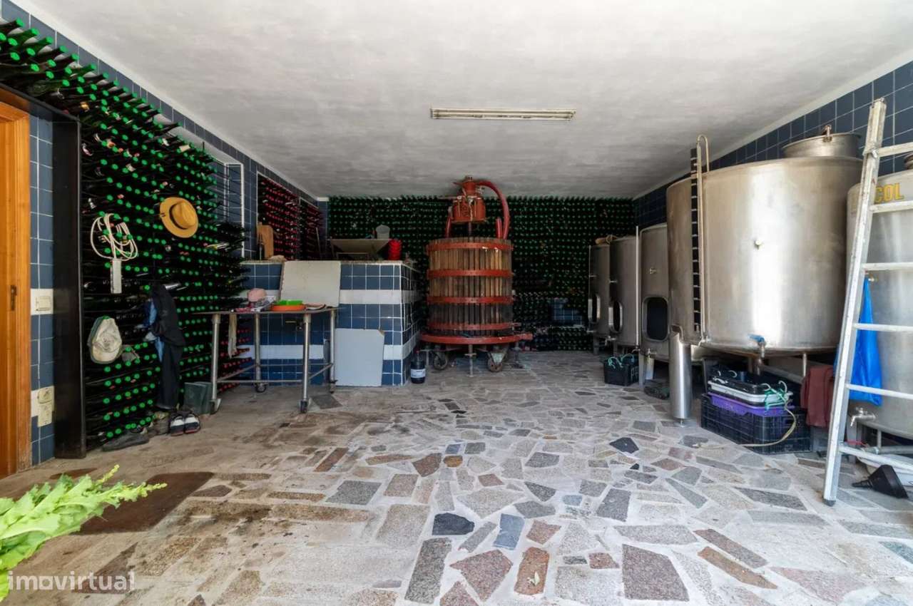 Quinta com vinha e Produção de vinhos em Freixo de Baixo Amarante-7