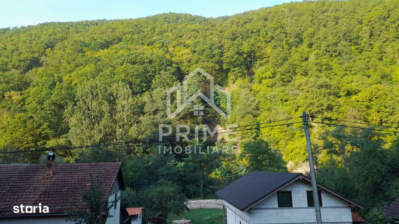 Teren intravilan 2480 mp | UTILITATI | Fata Pietrii | aproape Transapu - Imagine principală: 1/6