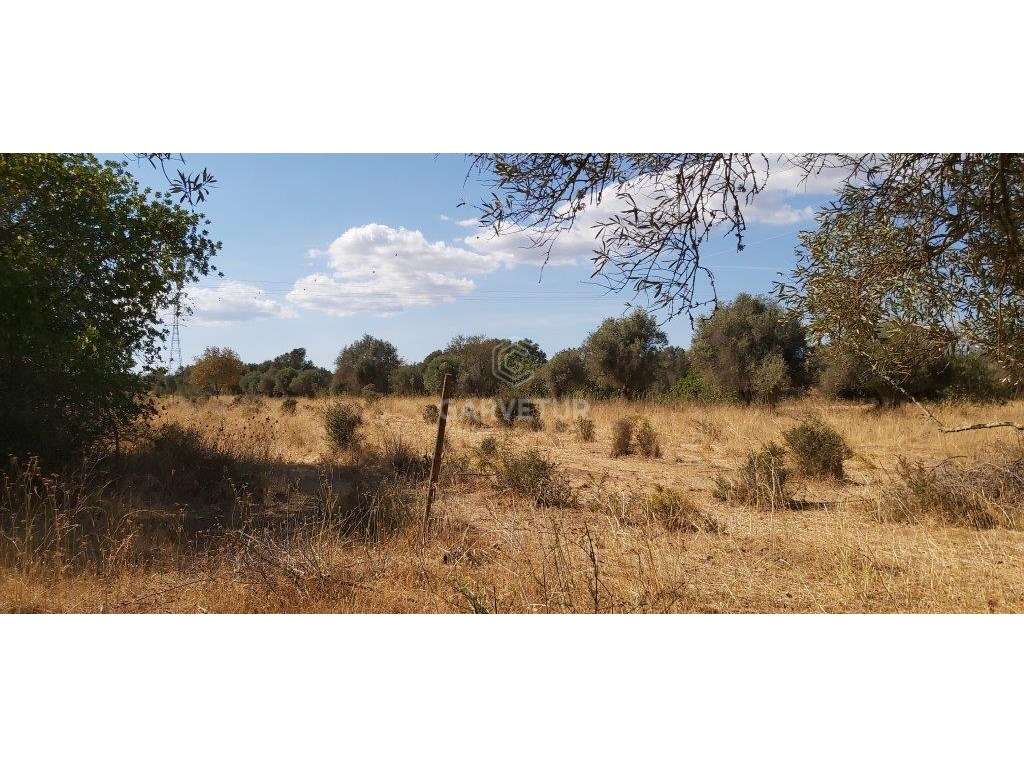 Terreno rústico, em zona agrícola, Amoreira, Paderne, Albufeira, Al... - Grande imagem: 5/18