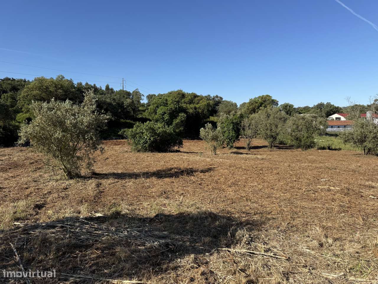 Terreno com casa e anexo para restaurar - Turquel, Alcobaça-19
