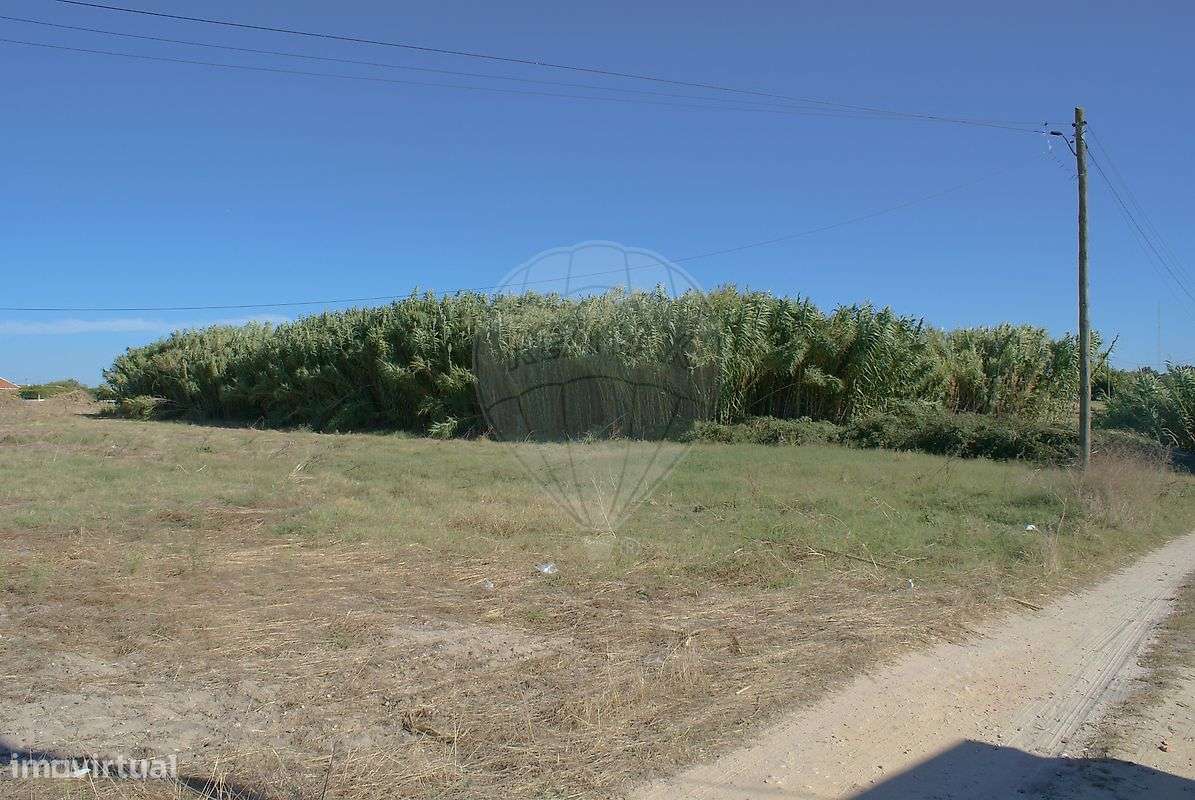 Terreno  para venda - Grande imagem: 5/20