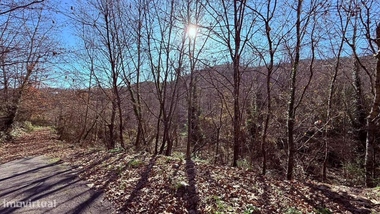 Terreno em Veade, Gagos e Molares-7