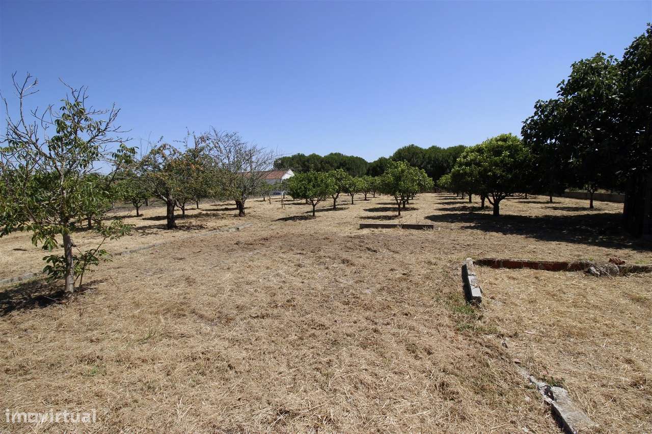 Moradia T3 Venda em Vendas Novas,Vendas Novas-24