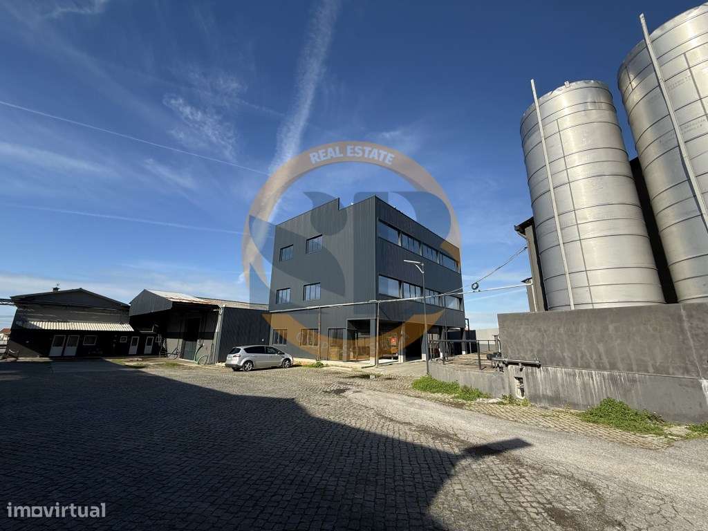 Armazém Industrial em Estarreja! ARRENDAMENTO - Grande imagem: 4/7