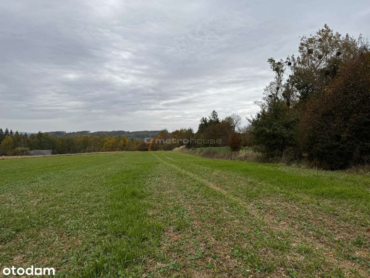 Działka rolna  Rozdoły k. Sitna. - Pełny obrazek: 5/8