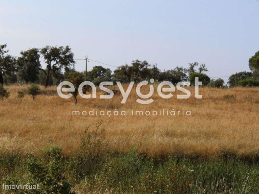 Terreno Misto com Vista Mar - Grande imagem: 4/30