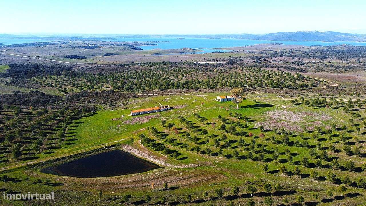 Herdade junto ao Lago de Alqueva - Mourão-9