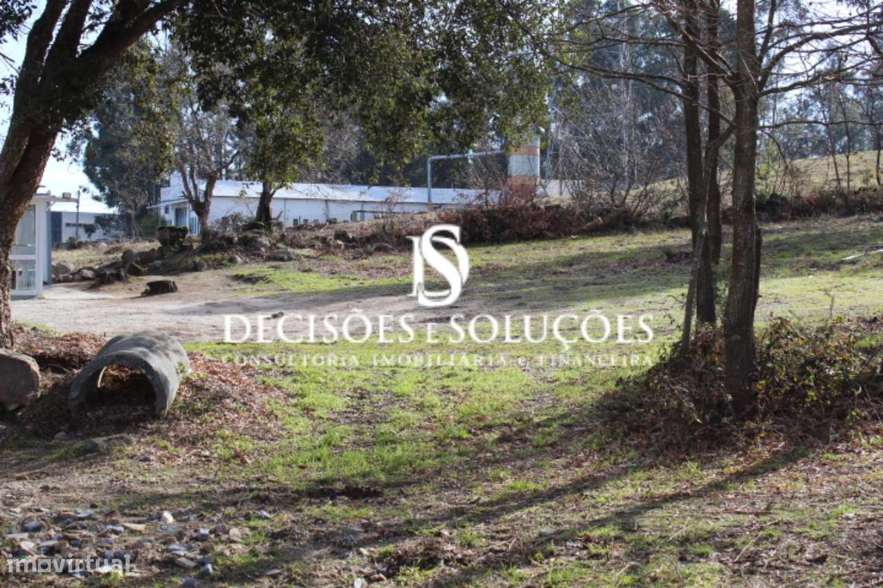 Terreno, Porto, Paços de Ferreira, Carvalhosa - Grande imagem: 4/5